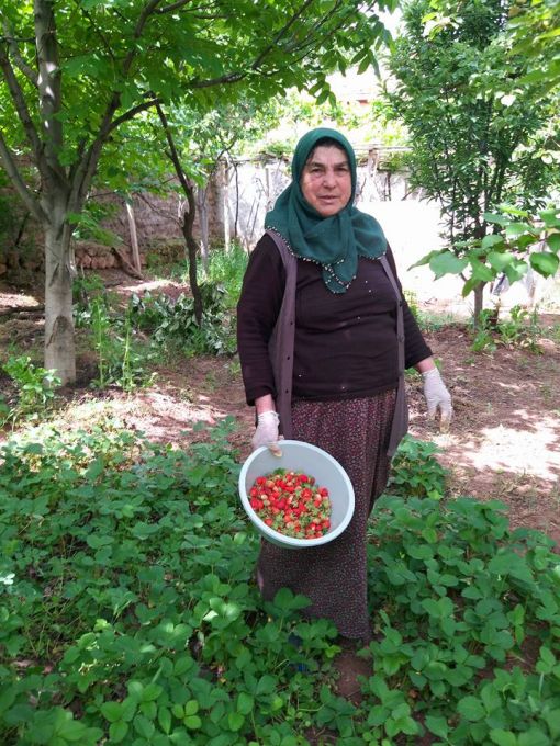 KIRŞEHİR AKÇAKENT ÖMERUŞAĞI KÖYÜME ZİYARET